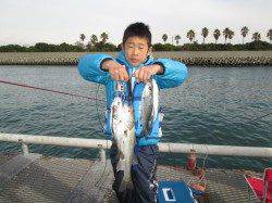 尼崎市立魚つり公園　午前中はエビ撒き釣りにセイゴのアタリひっきりなし