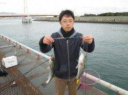 尼崎市立魚つり公園　午前中はエビ撒き釣りにセイゴのアタリひっきりなし