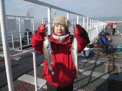 尼崎市立魚つり公園　今日もシラサエビに セイゴが高反応