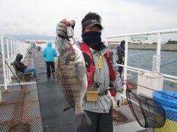 尼崎市立魚つり公園　落とし込みでチヌ49cm、のませでメジロ67cm