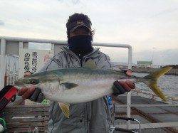 尼崎市立魚つり公園　落とし込みでチヌ49cm、のませでメジロ67cm