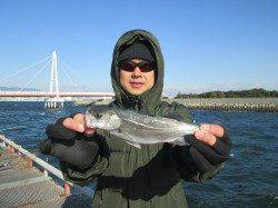 尼崎市魚つり公園　ハゼ釣りもオススメです