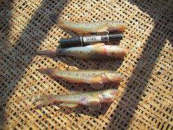 尼崎市魚つり公園　ハゼ釣りもオススメです