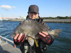 尼崎市立魚つり公園　年無しまであと一歩、チ…