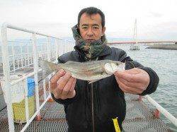 ズボ釣りでセイゴにチヌ　尼崎市立魚つり公園