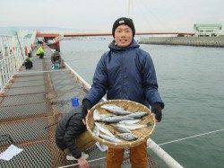 ズボ釣りでセイゴにチヌ　尼崎市立魚つり公園