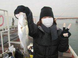 尼崎市立魚つり公園　良型のチヌが今日はシラサエビに反応よい感じ