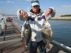 尼崎市立魚つり公園　良型のチヌが今日はシラサエビに反応よい感じ