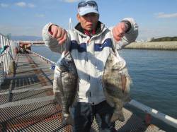 尼崎市立魚つり公園　良型のチヌが今日はシラ…