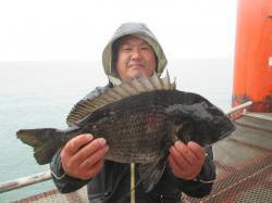 尼崎市立魚つり公園　本日はアタってくるチヌ…