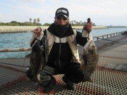 尼崎市立魚つり公園 チヌ高活性でした☆チヌは柱周りを狙ってください