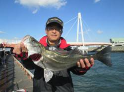 尼崎市立魚つり公園、良型チヌが反応良し！