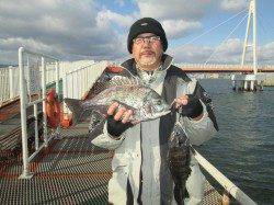 尼崎市立魚つり公園のエビ撒き釣り　ハネ60cmに迫るサイズが増えてきました