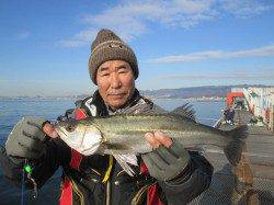 魚つり公園でウキ釣り　ハネサイズの割合も増えてきました