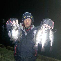 戸坂・塩津漁港 メバル接岸調査〜短時間でリリース含め30匹以上の大漁!!