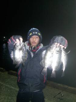 戸坂・塩津漁港　メバル接岸調査〜短時間でリ…