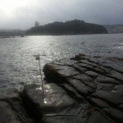 和歌山円月島前にヤエンでアオリイカ狙いに行ってきました