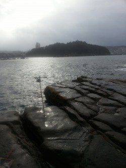 和歌山円月島前にヤエンでアオリイカ狙いに行ってきました