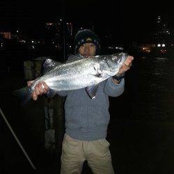 久しぶりに南紀へ釣行　ヒラスズキ・アカハタ・ムラソイなどをゲット