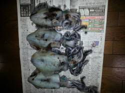 和歌山円月島前にヤエンでアオリイカ狙いに行…