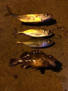 助松埠頭周辺アジング　JH 0.4gでコツ…