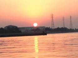 東二見　大晦日にサビキでマイワシ☆