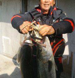 旧の赤灯台でアジ好調！　アジのノマセ釣りで良型スズキも☆