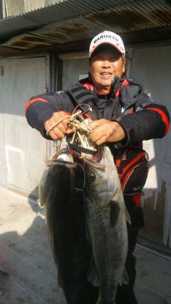 旧の赤灯台でアジ好調！　アジのノマセ釣りで…