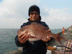 北港釣り公園　チヌ・グレ・サンバソウ・マダイの釣果