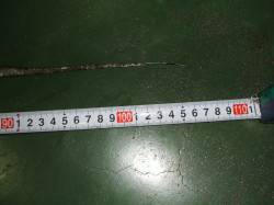 自己最高の106㎝タチウオをキャッチ！　伊…