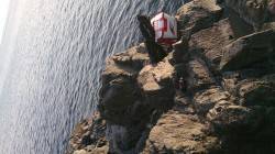 太地港　ボーズ覚悟も最後にイガミ55cm