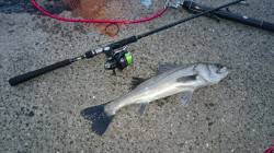 伊保港　夕方からシーバス釣行　手前をスロー…