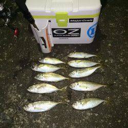 大阪南港アジング　ひどい暴風でしたが、なんとか中アジ・チビレ・ガッシー