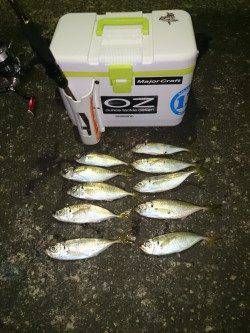 大阪南港アジング　ひどい暴風でしたが、なんとか中アジ・チビレ・ガッシー