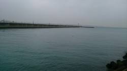 泉佐野　テトラにてロックフィッシュ狙い　ム…