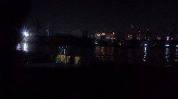 兵庫突堤　ちょい投げ仕掛けにセイゴ32cm　他ハゼなど