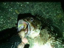 大阪南港にてガシリング　ボトムを責めるとナ…