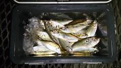 とっとパーク小島　入園後すぐ立て続けにコウ…