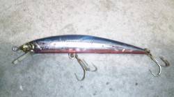 ナイトシーバスに行ってきました！　阿尾漁港…