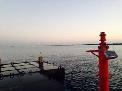 岸和田一文字　サビキでアジ・チャリコ　ノマ…