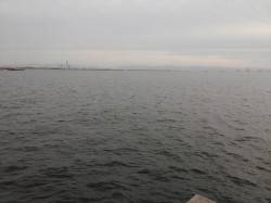 武庫川河口周辺　フカセで大チヌ53cm&a…