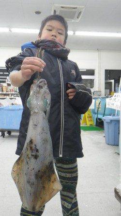 富田　ヤエンでアオリイカ～1.26ｋｇ×5ハイ