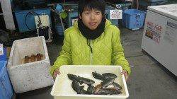 堺のグラウンド横にてフカセ　グレ・ガシラなどの釣果