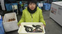 堺のグラウンド横にてフカセ　グレ・ガシラな…