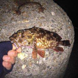 巷を賑わすガシリングへ出陣　短時間でしたが楽しめました！