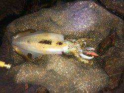 爆風の白浜 風裏を探してランガン