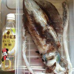 爆風の白浜 風裏を探してランガン