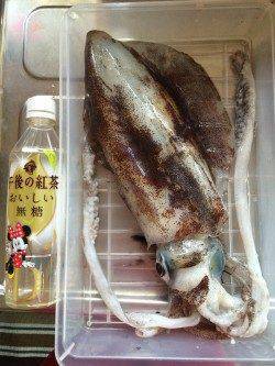 爆風の白浜 風裏を探してランガン