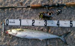 宮津湾ショアジギング　朝10時頃スタートし…