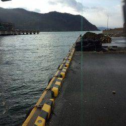 千歳にてメバリング　漁港の中で小さいアタリ、プチサイズのメバル釣れました